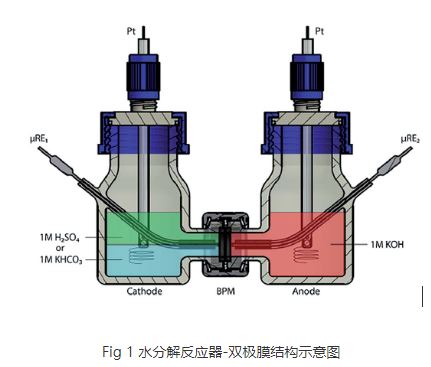 電解水反應器